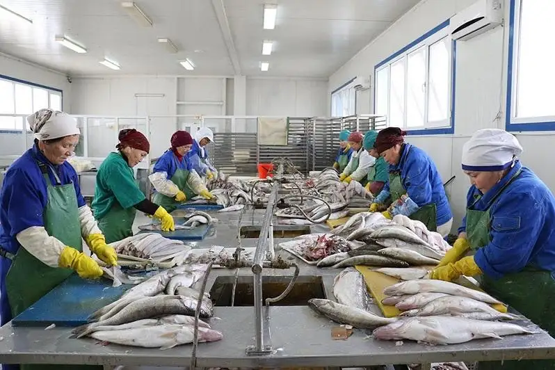 Более 12 тысяч человек работает в рыбохозяйственной отрасли РК