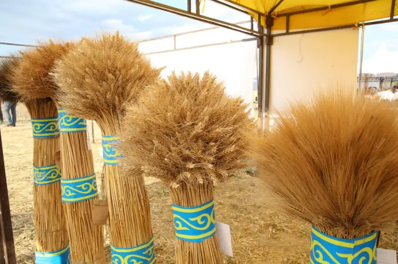 11 агрохолдингов появятся в Жамбылской области