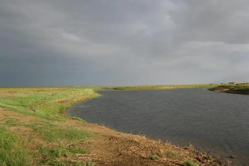 Неиспользованные 2,6 тыс. га сельскохозяйственных земель вернули государству в ЗКО