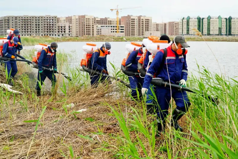 В Нур-Султане продолжают травить комаров
