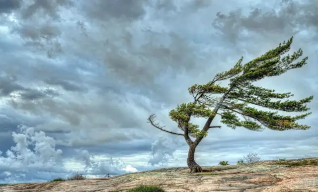 О надвигающемся штормовом ветре предупредили атыраусцев