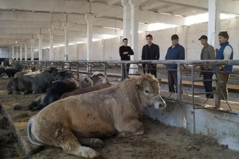 Мактааральский предприниматель благодаря господдержке увеличил бизнес