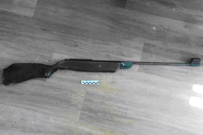 Переделанную пневматическую винтовку изъяли в СКО