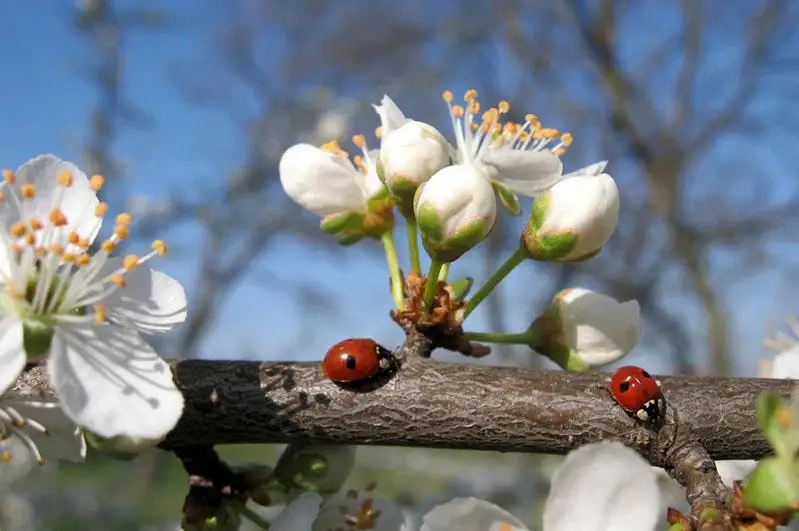 Казахстанцев ожидает теплый май