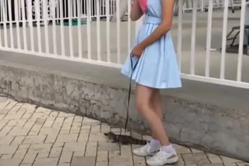 Детеныша крокодила выгуливали на Кок-Тобе в Алматы