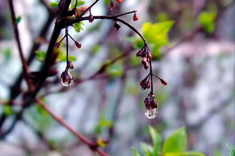 Дождливо будет в Казахстане 10 мая