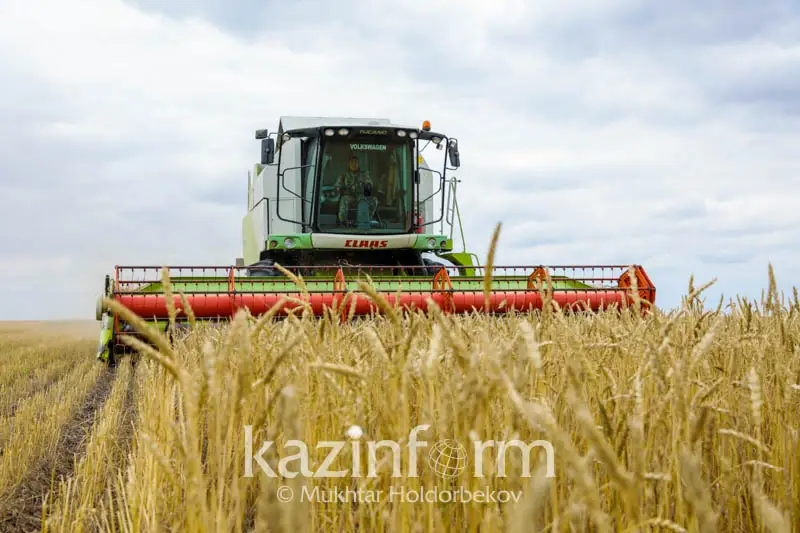 Казахстанский завод будет производить до 800 комбайнов в год