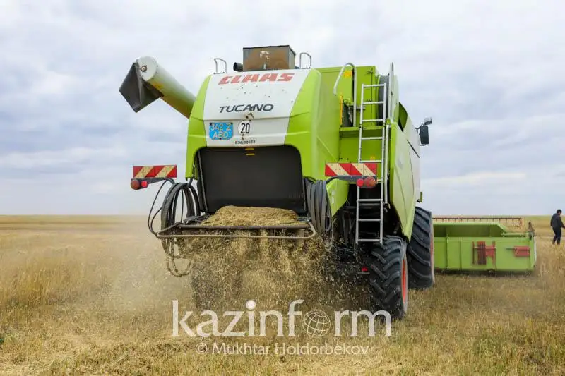 Готовы ли элеваторы к приему урожая, рассказали в Минсельхозе