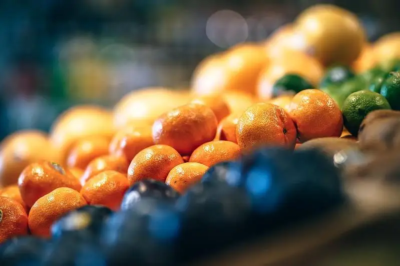 Каким объектам разрешено работать во время карантина в Туркестанской области