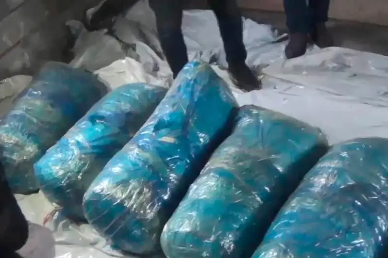 Семейный наркобизнес пресекли в Павлодарской области