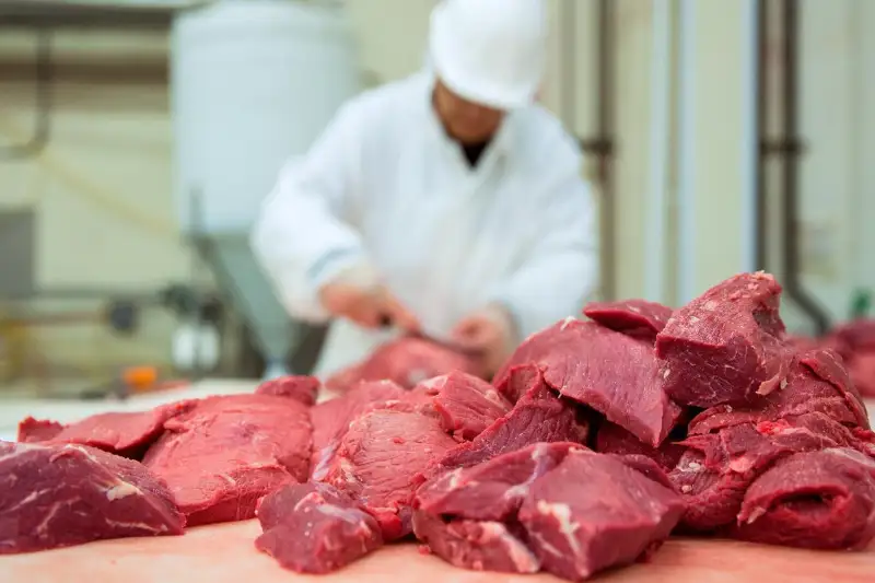 Увеличить производство мяса намерены в СКО