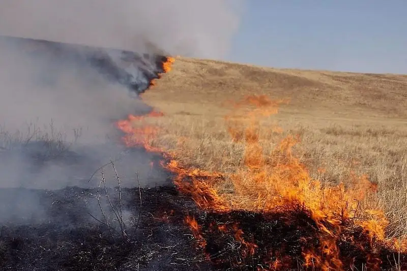 В связи с природными пожарами в Карагандинской области объявили режим ЧС