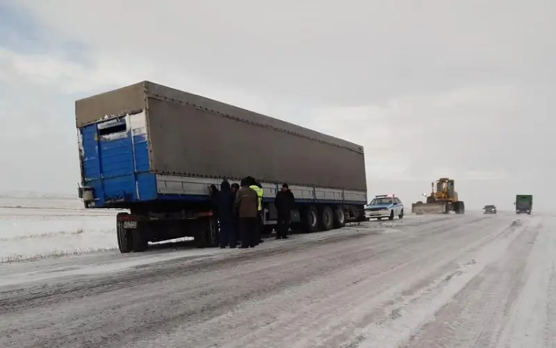 Фура с племенным скотом съехала в кювет в ВКО