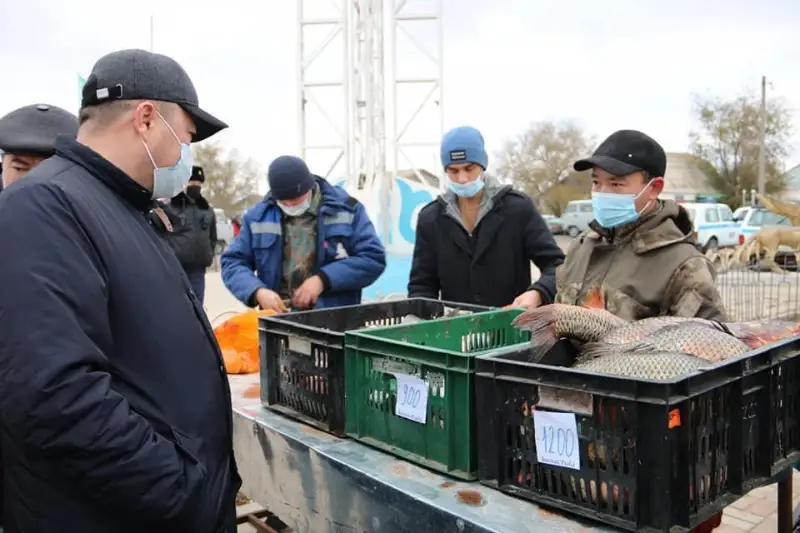 Благодарственные письма от акима столицы получили фермеры Жанибекского района ЗКО