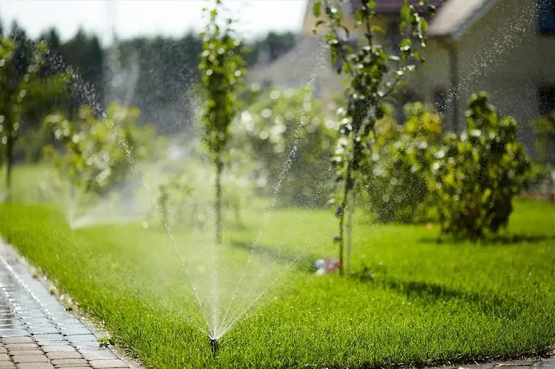 Когда и как поливают зеленые насаждения в Алматы