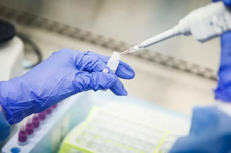 Дипломатия должна извлечь уроки из пандемии – Касым-Жомарт Токаев