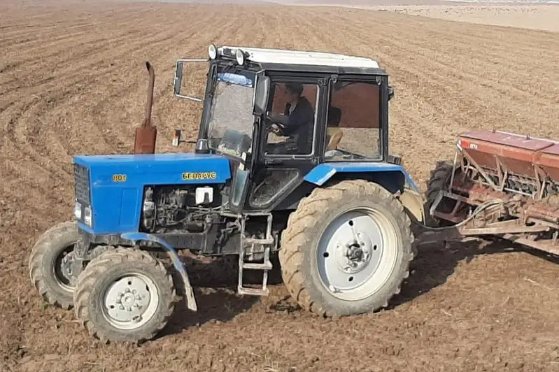 52 млн тенге получили на посевную аграрии Толебийского района Туркестанской области