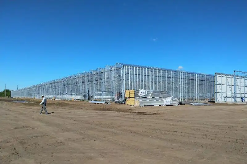 Теплица по голландской технологии позволит выращивать 8 тонн овощей в год в ЗКО