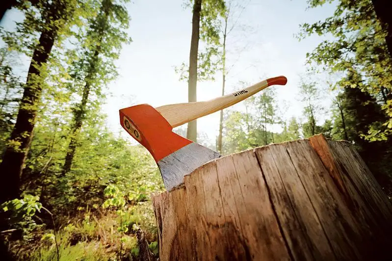 Более 2 тысяч деревьев вырубят в Бутаковском ущелье в Алматы