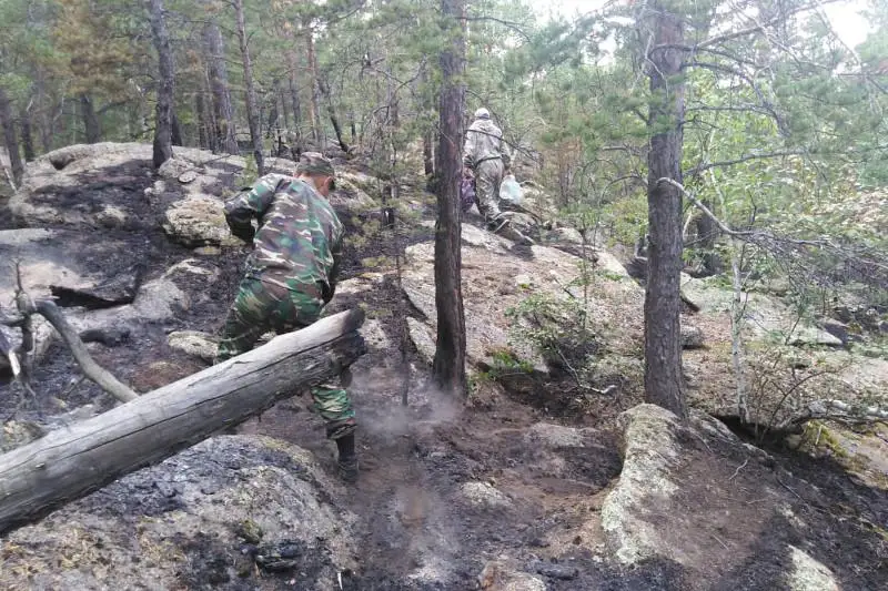 Пожар в Баянаульском национальном парке мог произойти из-за грозы - ДЧС