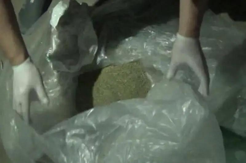 Более 23 килограммов марихуаны обнаружили у жителя Тараза