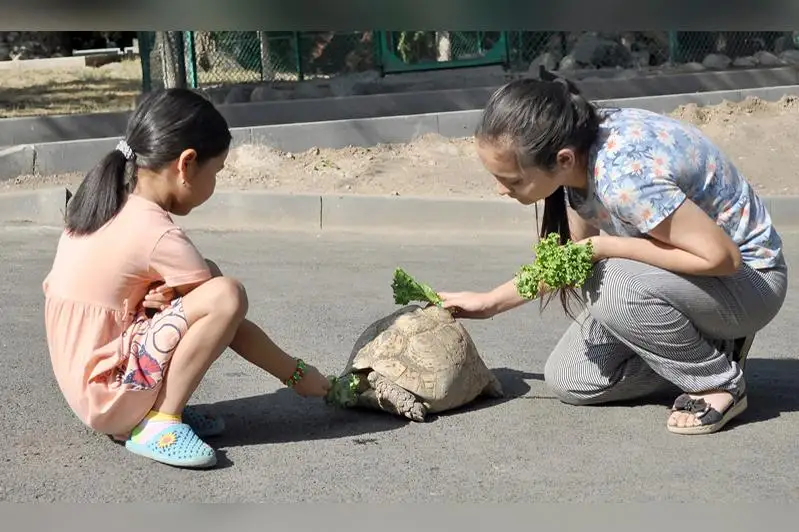 День выгула черепахи отметили в зоопарке Алматы