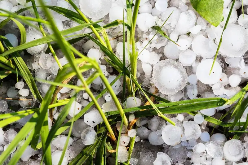 Крупный град выпал в одном из районов ВКО