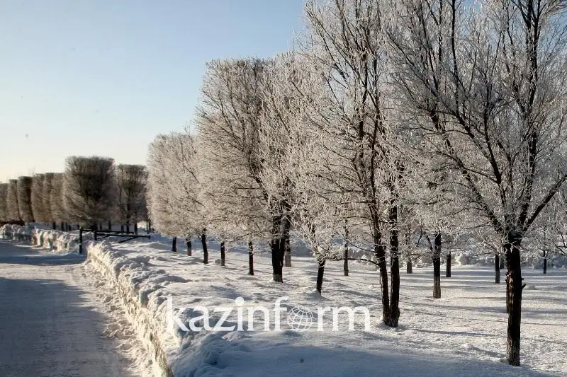 Снег и ветер ожидаются на западе Казахстана 25 ноября