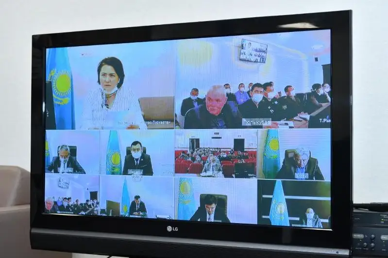 Специалистов по дезинфекции Туркестанской области проконсультировали в онлайн-режиме