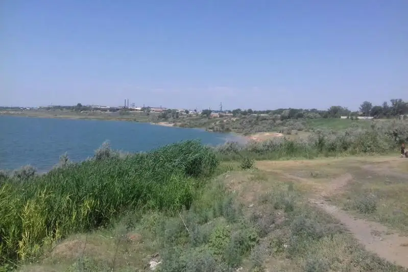 180 тысяч молоди карпа выпустят в Фёдоровское водохранилище в Караганде