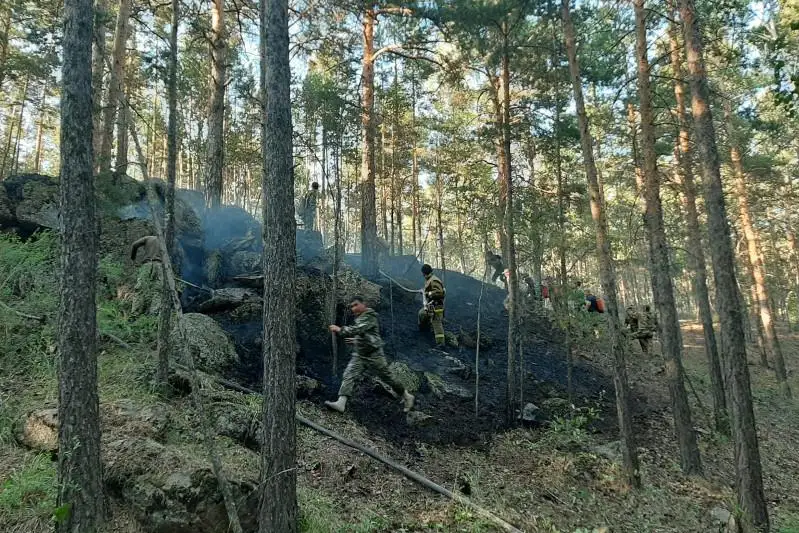 Более суток тушили лесной пожар в нацпарке «Бурабай»