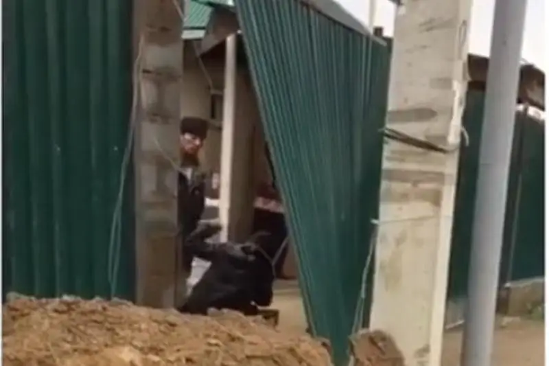 Побившего сына мухобойкой мужчину наказали в Алматы