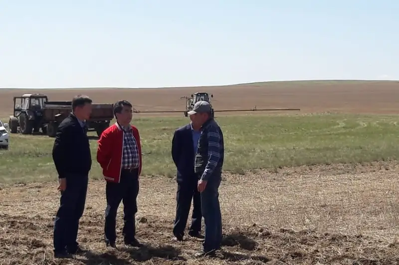 Весенние полевые работы идут по графику в Карагандинской области