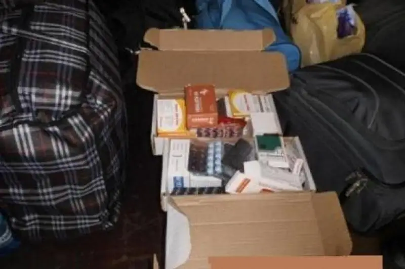 311 упаковок лекарства в сумках пытались пронести через границу в Павлодарской области