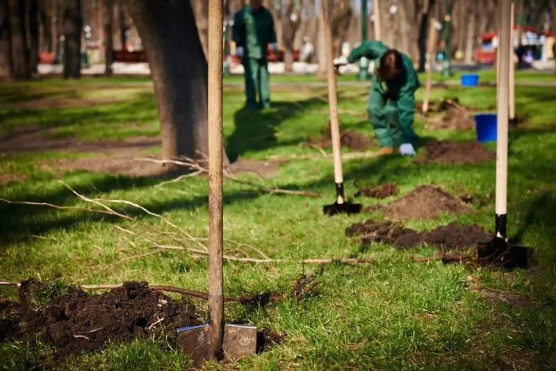 Парк на 5 гектарах разобьют в Атырау