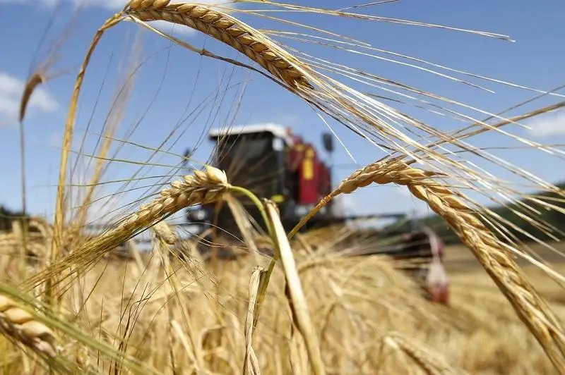 Как реализуется Послание Президента РК в сфере высшего аграрного образования