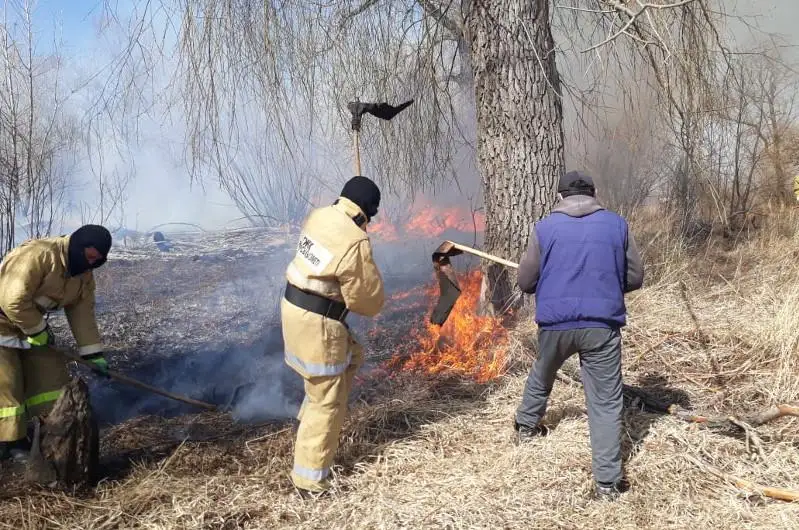 Сухостой горит в Павлодарской области