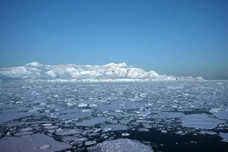 Впервые температура в Антарктике поднялась выше 20°C