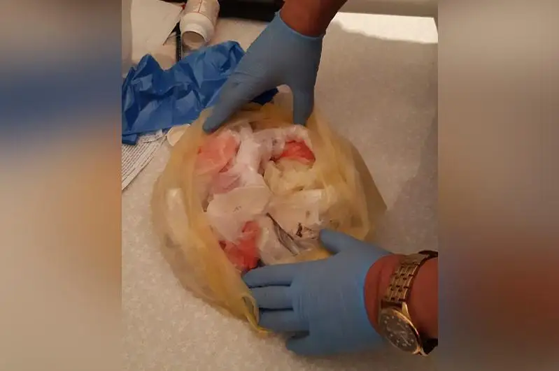 19 тысяч доз синтетического наркотика изъяли в ВКО