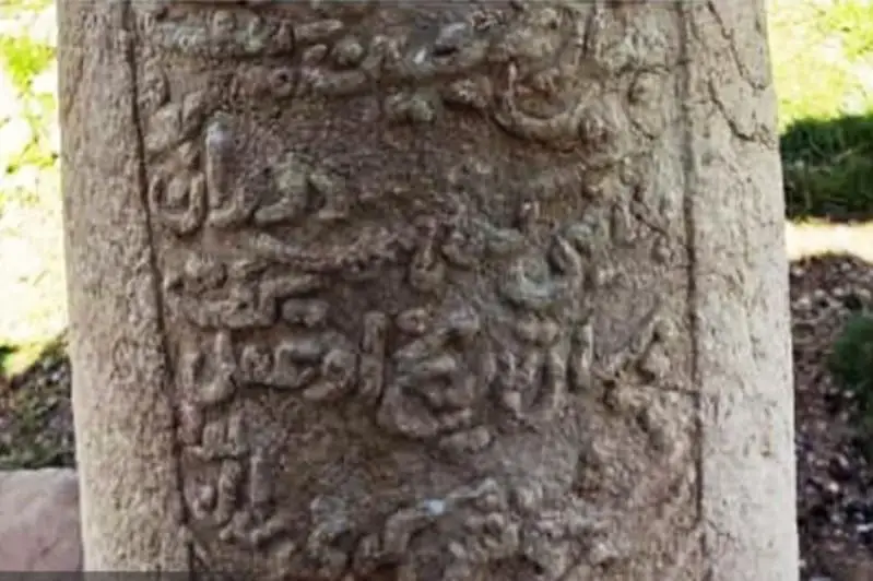 Древнее игровое поле для конного поло нашли в Иране