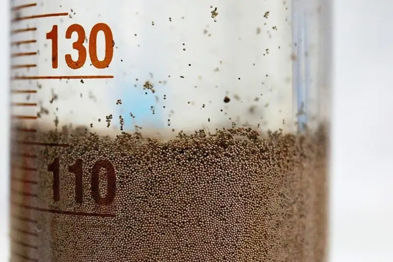 Потенциальные миллионы: что мешает наладить производство цист артемий в Казахстане