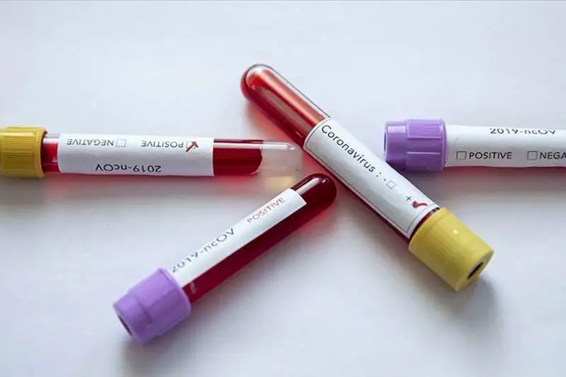 Учебные заведения в иранском городе Кум закрываются в связи с коронавирусом