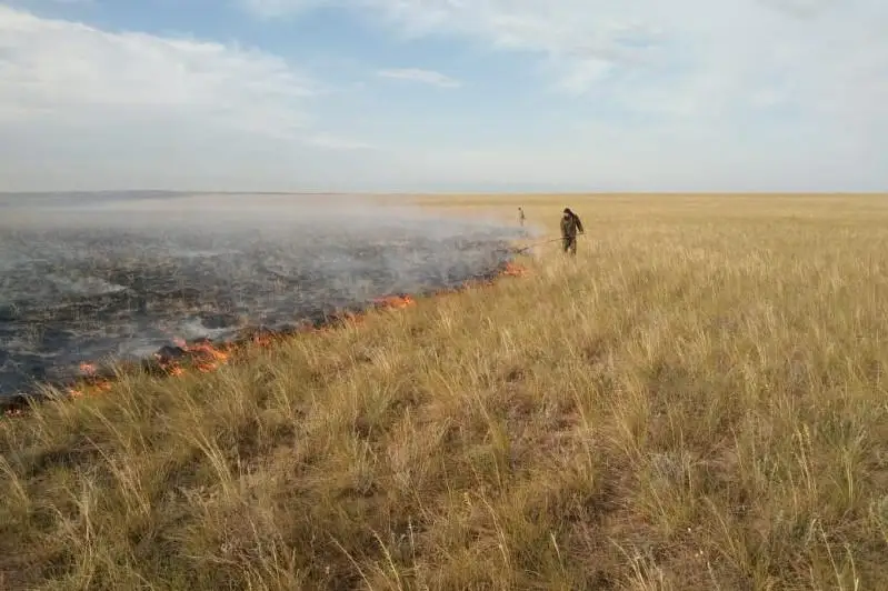 Крупное возгорание сухостоя произошло в ВКО