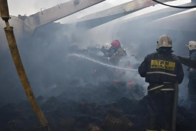 Около 60 человек тушили пожар на птицефабрике в СКО