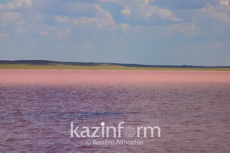 Три мобильных поста полиции охраняют розовое озеро Кобейтуз