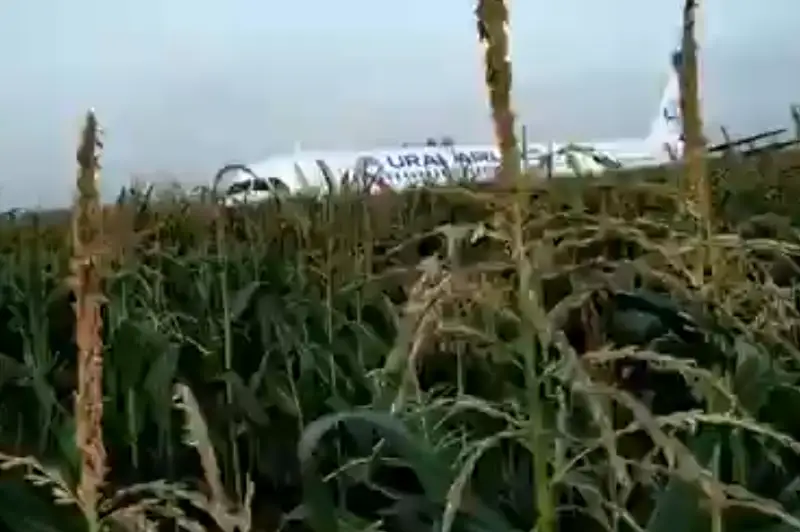 Пассажирский Airbus сел в поле из-за возгорания двигателя в Подмосковье