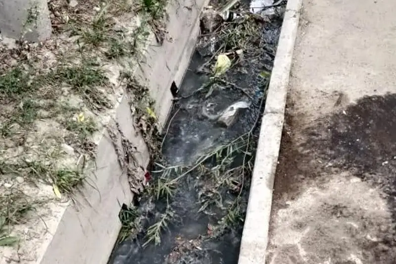 Алматинцы сливают отходы жизнедеятельности в арыки
