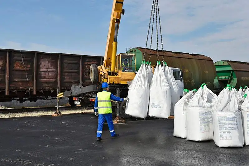 Экспортировать семена льна в Китай смогут еще 78 казахстанских предприятий