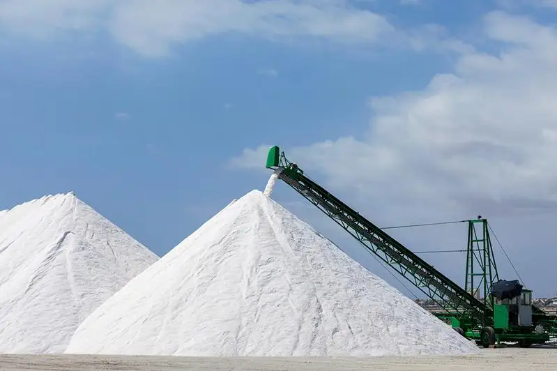 На 50% мощности работает завод по производству соли в Жамбылской области
