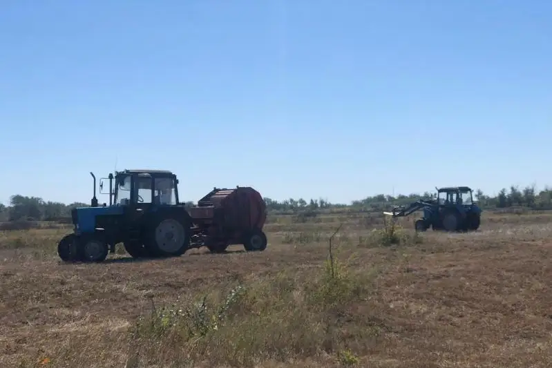 Субсидии на сумму 2,6 млрд тенге выплатили в агропромышленном комплексе ЗКО